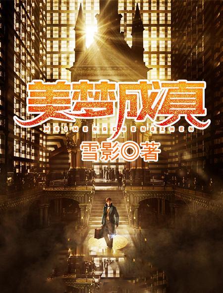 美梦成真封面