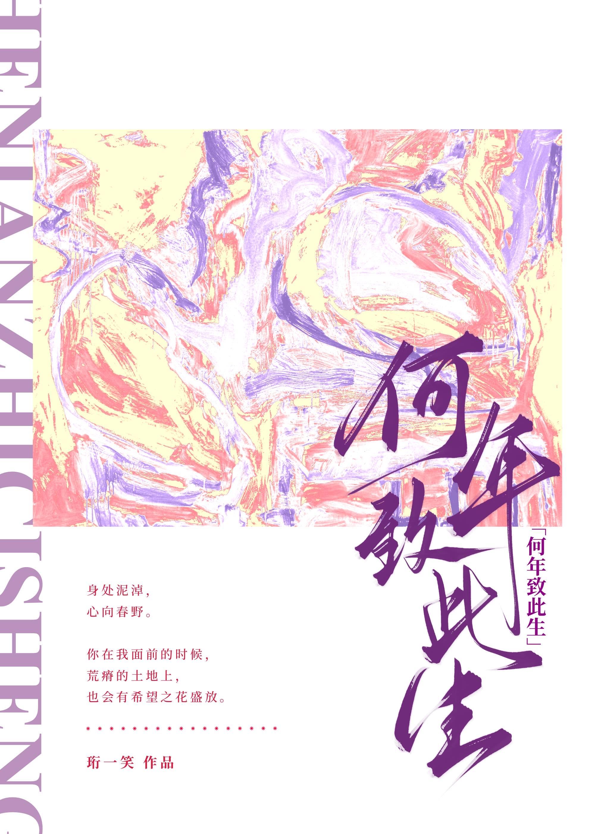 何年致此生封面