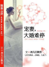 宠妻，大婚难停封面