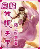 凤起-傲视天下封面
