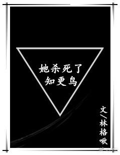 她杀死了知更鸟封面