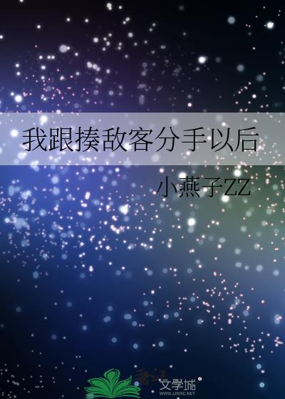 我跟揍敌客分手以后封面