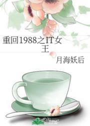 重生1988之IT女王封面