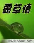露草情封面