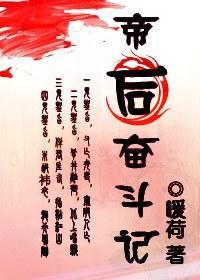 帝后奋斗记封面