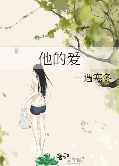 他的爱封面