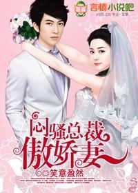 闷骚总裁傲娇妻封面