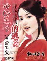 神偷宝宝：冷情王爷的逃妾封面