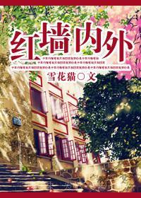 红墻内外封面
