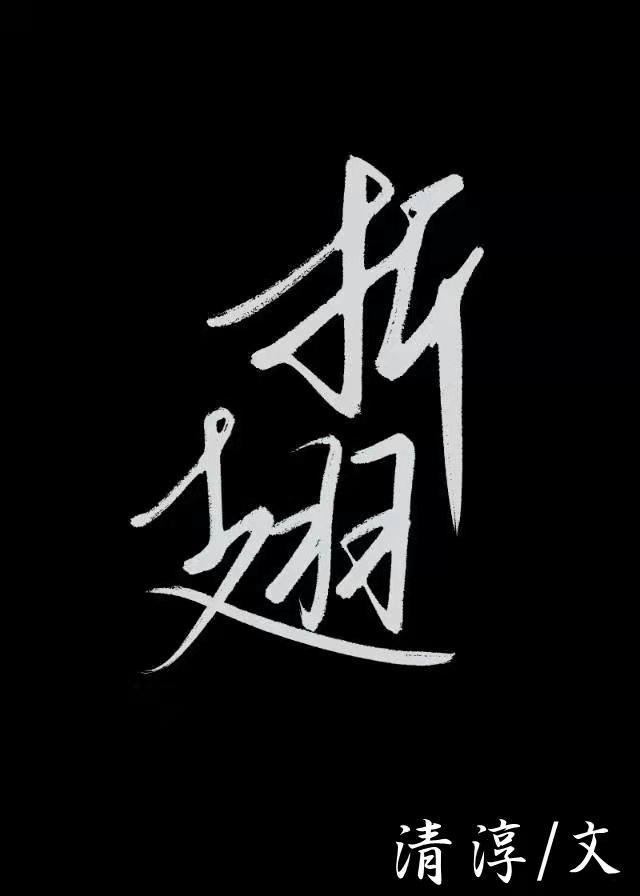 折翅封面