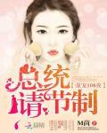 强宠108夜：总统，请节制封面