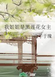 我姐姐是黑莲花女主封面