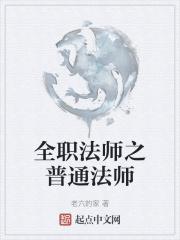 全职法师之普通法师封面