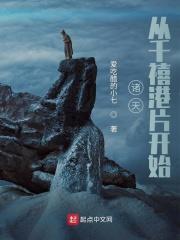 诸天：从千禧港片开始封面