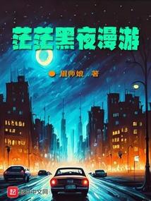 茫茫黑夜漫游封面