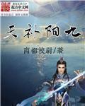 九阳补天封面