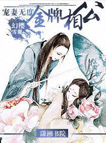 宠妻无度——金牌相公封面