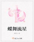 蝶舞流星封面