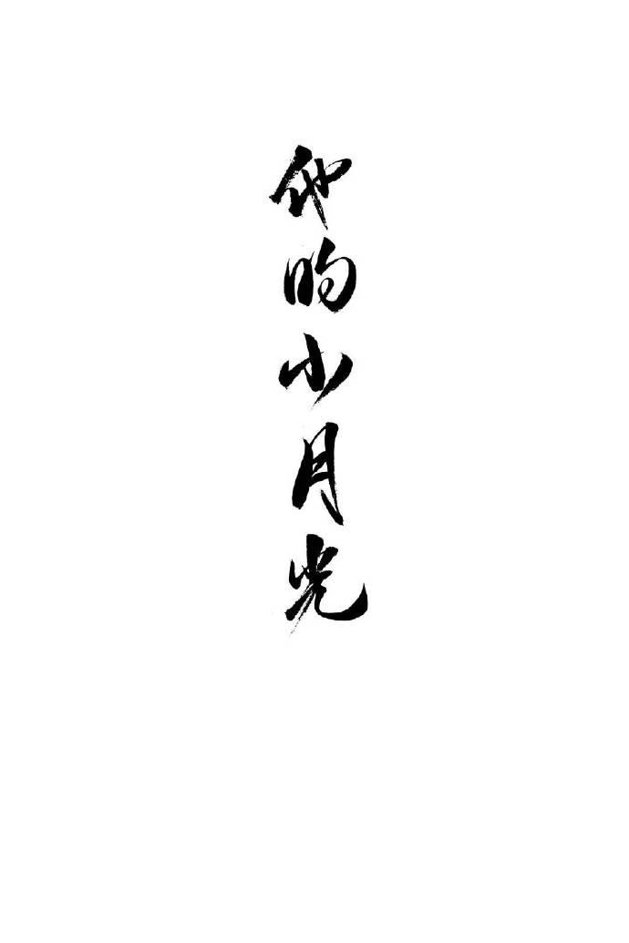 他的小月光封面