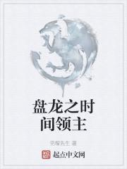 盘龙之时间领主封面