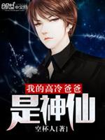 我的高冷爸爸是神仙封面