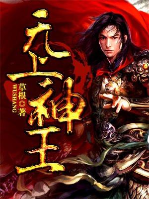 无上神王封面