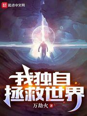 我独自拯救世界封面