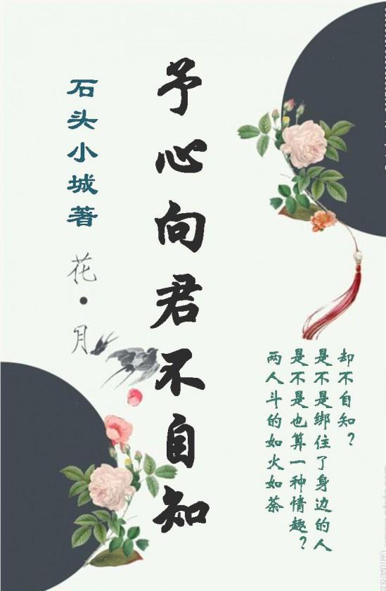 予心向君不自知封面