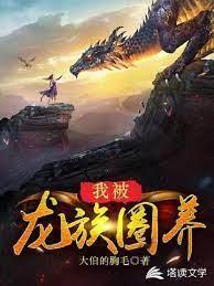 我被龙族圈养封面