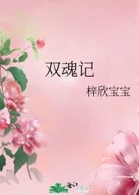 双魂记封面