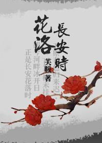 花洛长安时封面