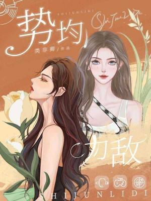 势均力敌封面
