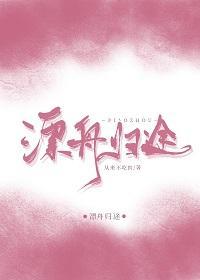 漂舟归途封面