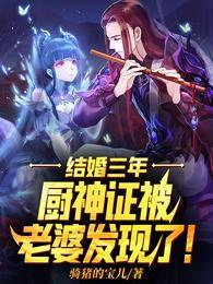 结婚三年，厨师证被老婆发现了！封面