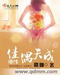 重生佳偶天成封面