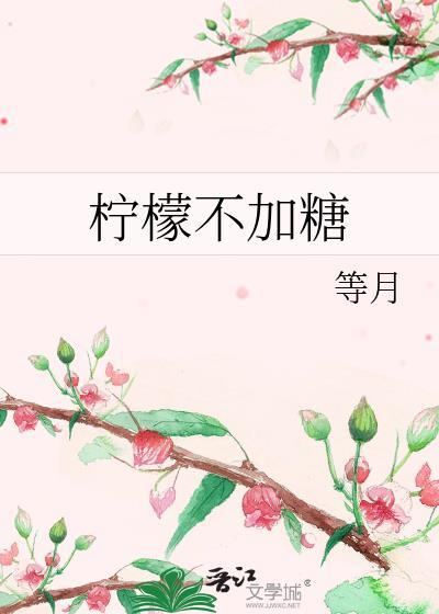 柠檬不加糖封面