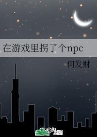 在游戏裏拐了个npc封面