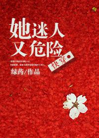 她迷人又危险封面