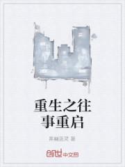 重生之往事重启封面