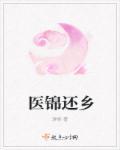 医锦还乡封面