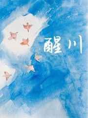 醒川封面