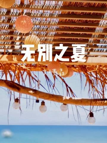 无别之夏封面