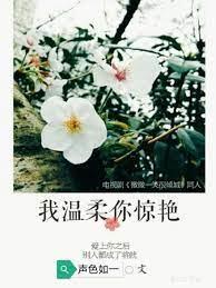 [微微一笑很倾城]我温柔，你惊艷封面