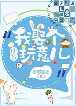 我娶个什么玩意儿封面