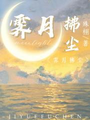 霁月拂尘封面
