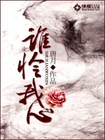 谁怜我心封面