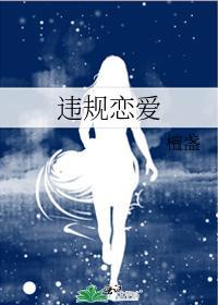 违规恋爱封面