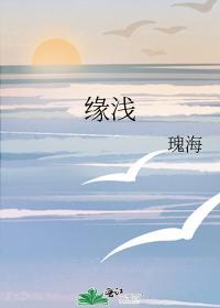 缘浅封面