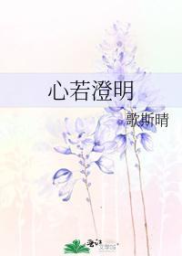 心若澄明封面