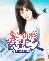 爱上你，我蓄谋已久封面